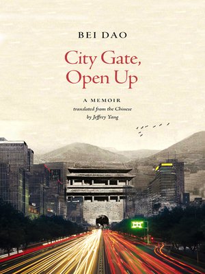 cover image of City Gate, Open Up